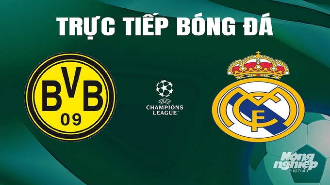 Trực tiếp bóng đá Cúp C1 Châu Âu giữa Dortmund vs Real Madrid ngày 2/6/2024