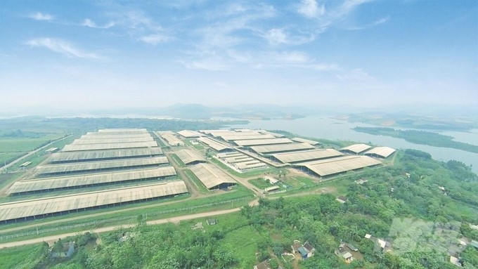 Building green farms and producing clean products is of concern to the entire society. Photo: MS.