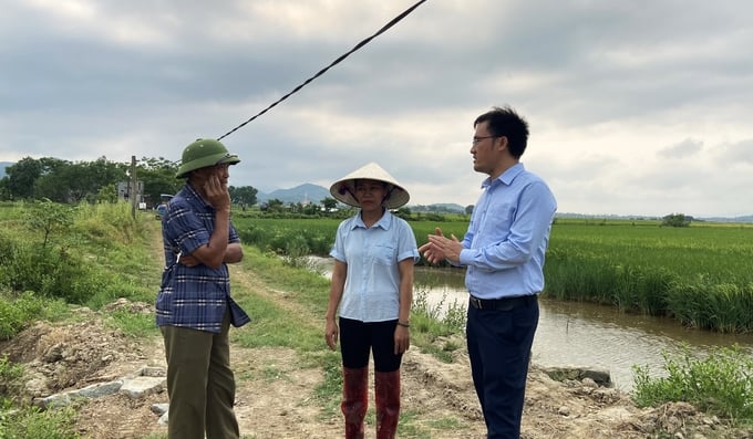 Ông Nguyễn Thanh Hải, Phó Chủ tịch UBND Huyện Kỳ Anh (ngoài cùng bên phải) luôn đồng hành cùng bà con nông dân trong quá trình thực hiện mô hình sản xuất lúa hữu cơ trên ruộng rươi tại xã Kỳ Khang. Ảnh: Nguyễn Hoàn.