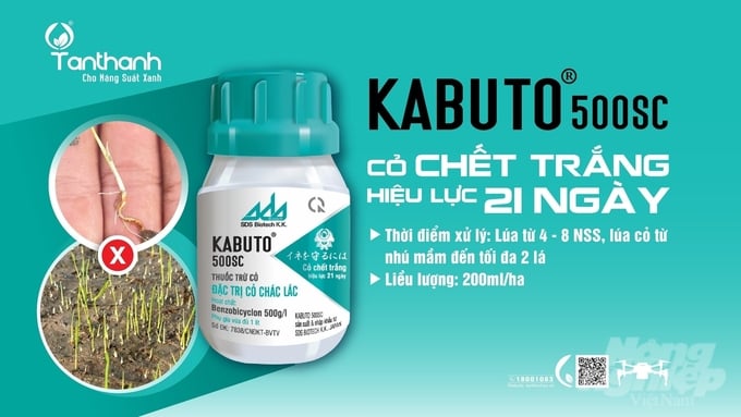 Kabuto 500SC hỗ trợ nhà nông quản lý hiệu quả đối tượng lúa cỏ trên đồng ruộng. Ảnh: Thanh Tuyền.