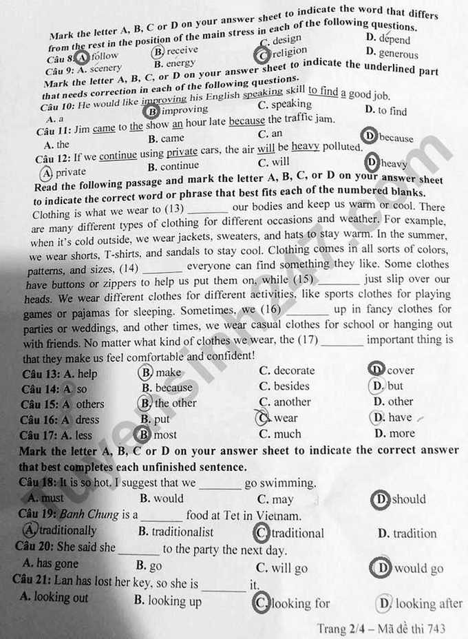 Đề thi vào lớp 10 năm 2024 môn tiếng Anh của tỉnh Tây Ninh (Mã đề 743)