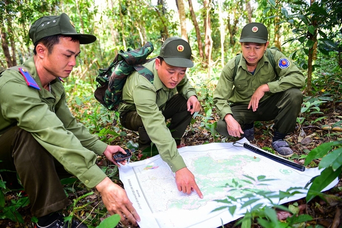 Như mọi ngày, các nhân viên phân chia địa bàn tuần tra rừng. Ảnh: Đăng Lâm.