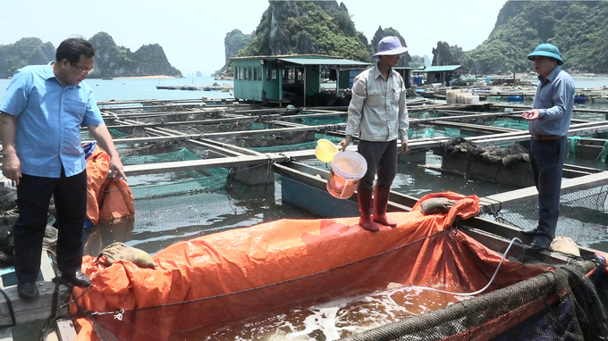 Chi cục Chăn nuôi và Thú y tỉnh Quảng Ninh phối hợp cùng Phòng NN-PTNT huyện Vân Đồn tuyên truyền người dân phòng chống dịch bệnh trên thủy sản. Ảnh: Nguyễn Thành.