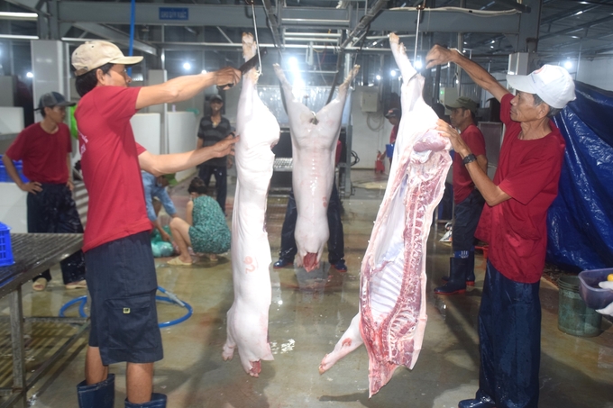 A centralized slaughterhouse in Nhon An commune, An Nhon town, Binh Dinh province. Photo: V.D.T.