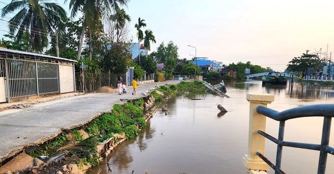 On average, each year, the Mekong Delta loses 300–500 hectares of land due to riverbank landslides. Photo: Kim Anh.