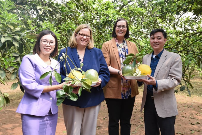In February 2023, US Deputy Secretaries of Agriculture Alexis Taylor (second from right) and Jenny Moffitt (third from right) visited a grapefruit garden in Hoai Duc district, Hanoi City. Photo: Tung Dinh.