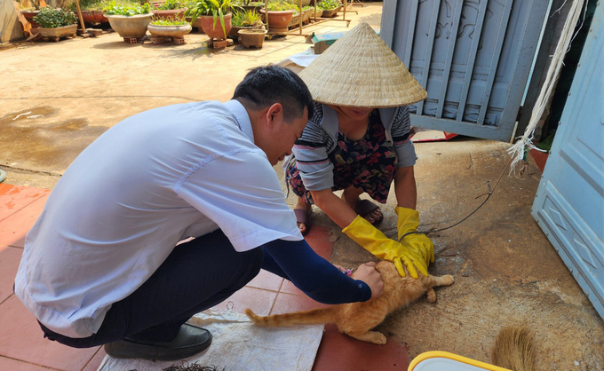 Việc không có vacxin khiến cho công tác phòng chống dịch trên địa bàn gặp nhiều khó khăn. Ảnh: Quang Yên.