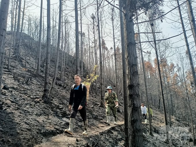 Vụ cháy rừng trên núi Tây Côn Lĩnh đã khiến 15ha rừng bị thiệt hại, 2 cán bộ kiểm lâm hy sinh. 