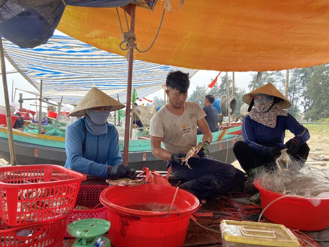 Khai thác hải sản là một trong những mũi đột phá phát triển kinh tế tại Hà Tĩnh nhưng đang ngày càng đối mặt với nhiều khó khăn. Ảnh: Nguyễn Hoàn.