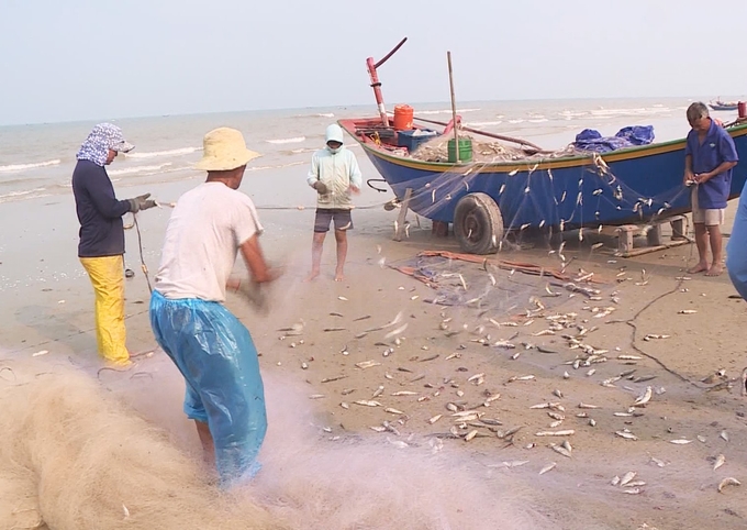 Khai thác gần bờ làm cạn kiệt nguồn lợi hải sản và hiệu quả kinh tế thấp. Ảnh: Nguyễn Hoàn.