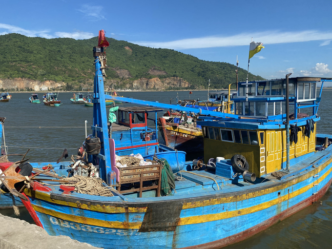Nhiều tàu thuyền nằm bờ dài ngày dù đang trong chính vụ khai thác cá Nam. Ảnh: Nguyễn Hoàn.