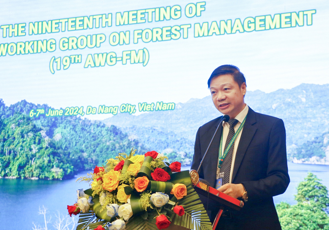 Cục trưởng Cục Lâm nghiệp Trần Quang Bảo phát biểu tại hội nghị.