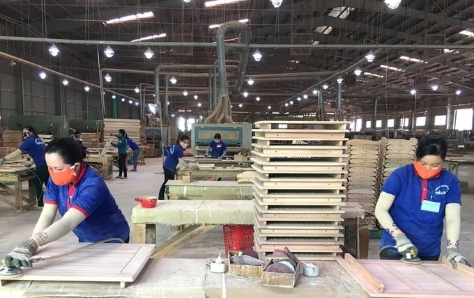 Many wood businesses in Binh Dinh have reorganized production, focusing on technological innovation and perfecting the management system to improve efficiency and quality of human resources. Photo: V.D.T.