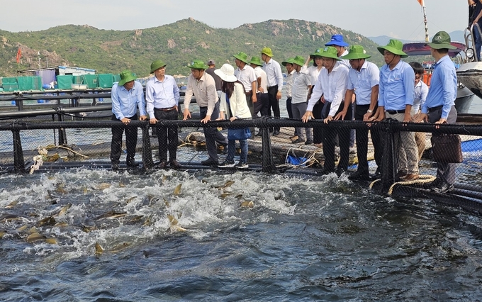 Đoàn công tác của Bộ NN-PTNT và UBND tỉnh Khánh Hòa tham quan mô hình nuôi biển công nghệ cao tại vùng biển hở xã Cam Lập, TP Cam Ranh. Ảnh: KS.