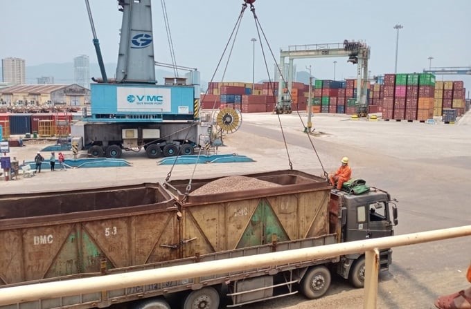 In the first 5 months of 2024, Binh Dinh's wood industry has grown thanks to increased demand for importing wood chips and wood pellets from the Chinese and Japanese markets. Photo: V.D.T.