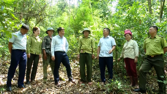 Từ 10 mô hình điểm, đến nay, Sơn La có 1.073 chủ rừng là cộng đồng thôn bản thực hiện xây dựng quy chế sử dụng tiền dịch vụ môi trường rừng, vượt 541,9% so với kế hoạch giao. Ảnh: Quang Dũng.