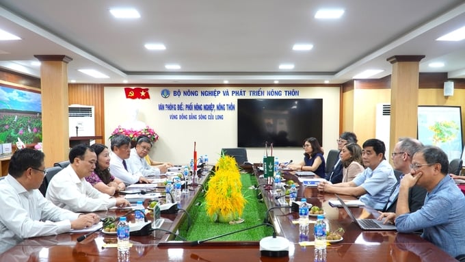 Deputy Minister of Agriculture and Rural Development Tran Thanh Nam, reporting on the development of the rice industry in Vietnam with Yvonne Pinto, Director General of IRRI and her accompanying delegation. Photo: Kim Anh.