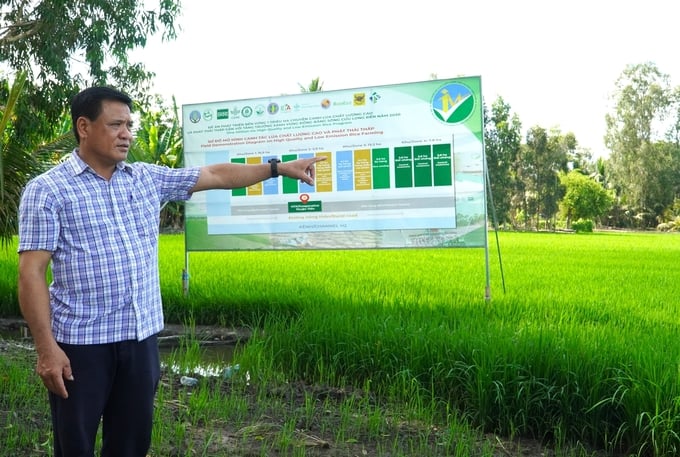 Over the years, IRRI has been a vital partner in supporting and promoting the development of Vietnam's rice industry Photo: Kim Anh.