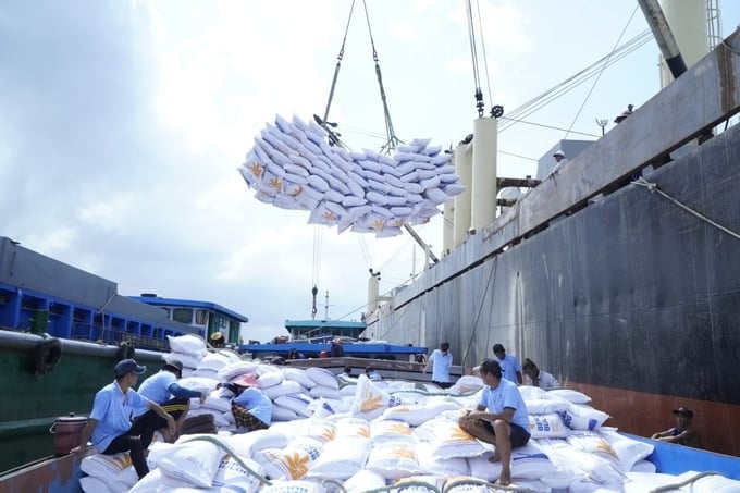 Any surrounding rice-exporting countries, such as Myanmar, India, Thailand, Pakistan, etc., also do not impose export floor prices. Photo: LT.