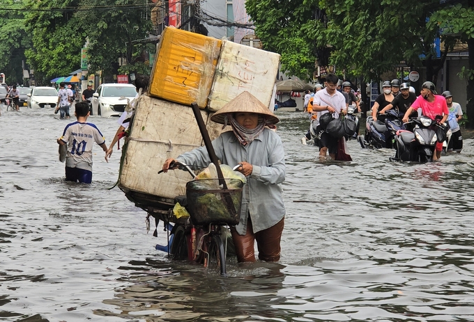 Người phụ nữ lớn tuổi làm nghề bán hoa quả, chật vật dắt xe đạp chất đầy thùng xốp vượt qua khu vực bị ngập lụt. Ảnh: Đinh Mười.