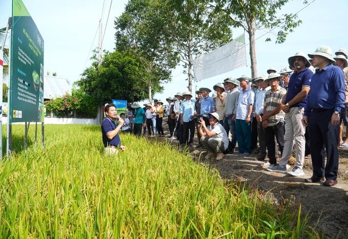 Bà con nông dân tham quan ruộng thực nghiệm và được chuyên gia của Bayer Việt Nam giới thiệu về mô hình Forward Farming. Ảnh: Kim Anh.
