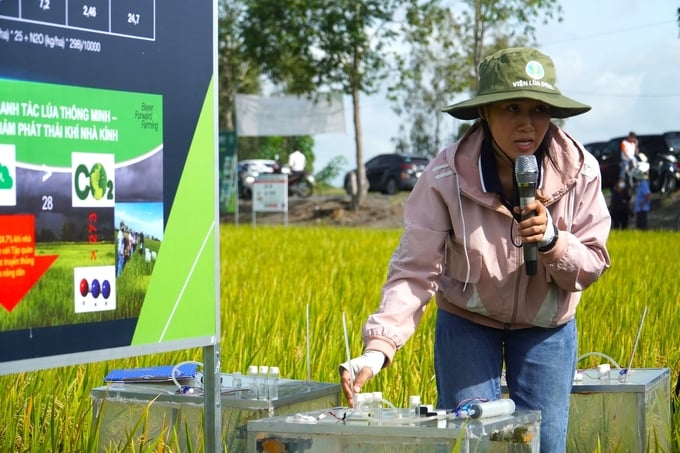 Cán bộ của Viện Lúa ĐBSCL thực nghiệm đo lượng phát thải khí nhà kính tại cánh đồng triển khai mô hình Forward Farming. Ảnh: Kim Anh.