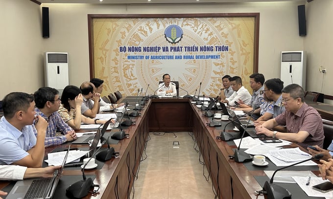 Deputy Minister Phung Duc Tien chaired a working session to implement a plan to combat IUU on the morning of June 6.