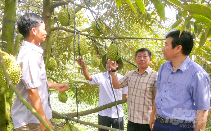 Huyện Tam Nông (Đồng Tháp) đang nỗ lực thực hiện bộ tiêu chí huyện nông thôn mới. Ảnh: Lê Hoàng Vũ.