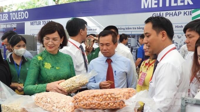 Developing the cashew raw material area in an environmentally friendly and sustainable manner is believed to help Binh Phuoc province attract more investors to the cashew processing and export industry. Photo: Thanh Son.