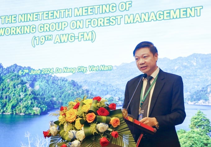 Director of the Department of Forestry, Tran Quang Bao, speaks at the conference.