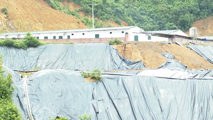 Khu xử lý nước thải tại trại lợn của Công ty TNHH Đầu tư sản xuất Nông nghiệp ở xã Liêm Thủy (huyện Na Rì). Ảnh: Ngọc Tú. 