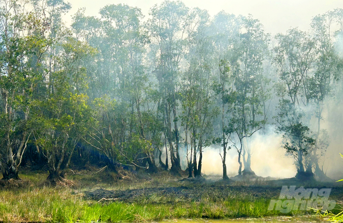 Ước tính ban đầu, diện tích bị cháy khoảng 17ha rừng tràm thuộc phân khu A1. Ảnh: Lê Hoàng Vũ.