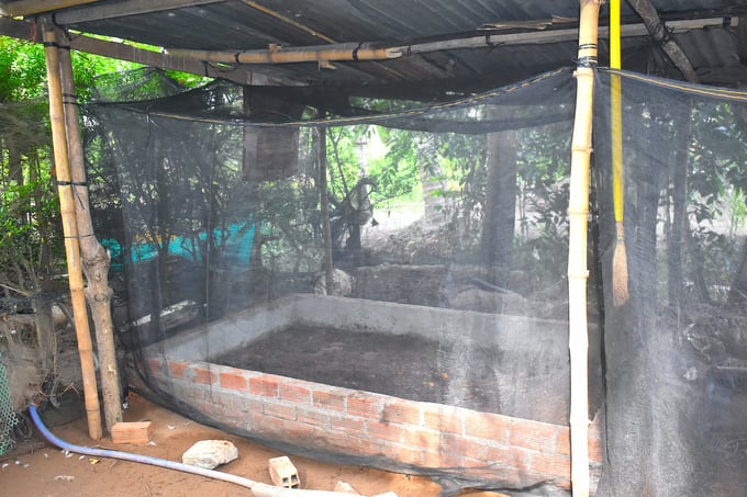 Covering the area for raising calcium-rich larvae with mosquito nets. Photo: Minh Dam.