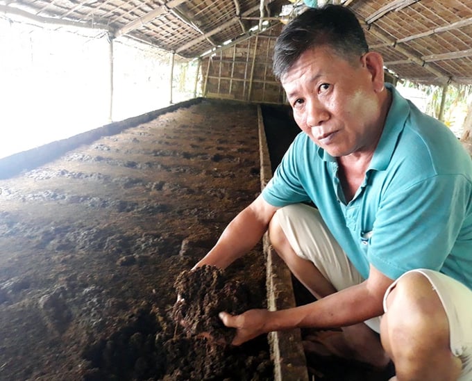 Nuôi trùn quế giúp giải quyết vấn đề ô nhiễm môi trường do chất thải chăn nuôi. Ảnh: Minh Đảm.
