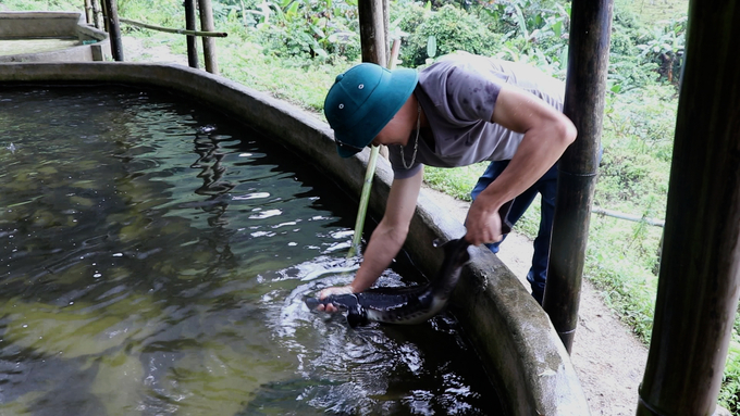 Trang trại nuôi cá tầm, cá hồi kết hợp du lịch của anh Đặng Hành Dũng mang lại giá trị kinh tế cao. Ảnh: Ngọc Tú. 