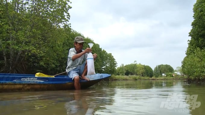 The model for sustainable aquaculture in mangrove forests enables the local community to develop economically and protect forest areas. Photo: Trong Linh.