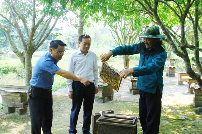Nâng cao kiến thức, kinh nghiệm nuôi ong cho người dân ở huyện Minh Hóa. Ảnh: TP.