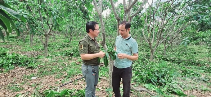 Phóng viên Báo Nông nghiệp Việt Nam (bên trái) thăm lại vùng đồi Sabi sau hơn 10 năm. Ảnh: H.Phúc.