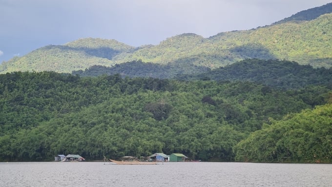 Ta Dung National Park is one of the units with the largest potential to participate in the carbon credit market in Dak Nong. Photo: Quang Yen.