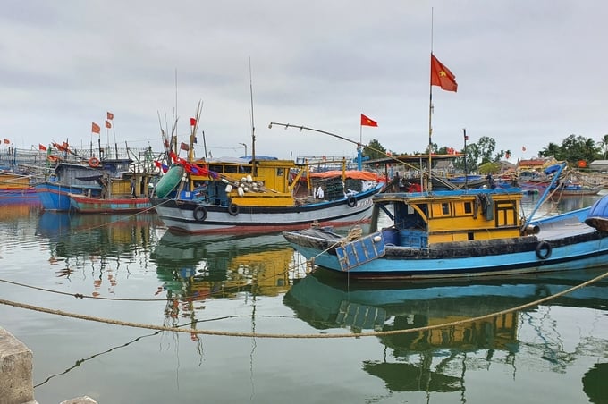 The majority of fishing vessels measuring over 15 meters in length in Vietnam are currently equipped with a vessel monitoring system. Photo: L.K.