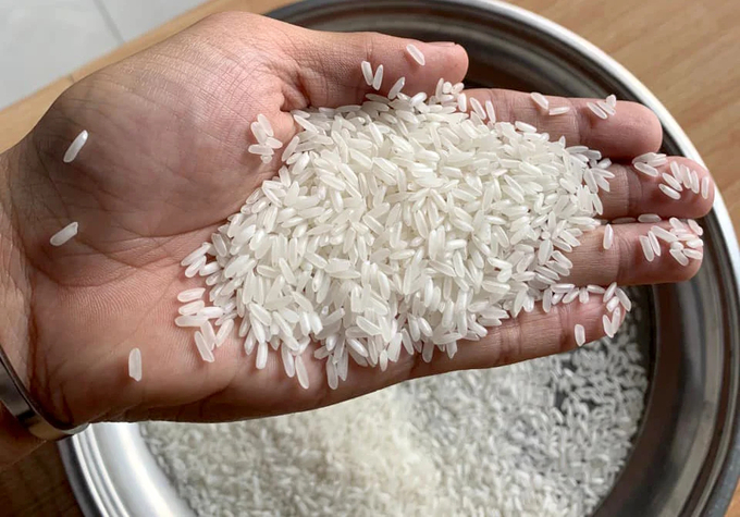OM5451 rice. Photo: Son Trang.