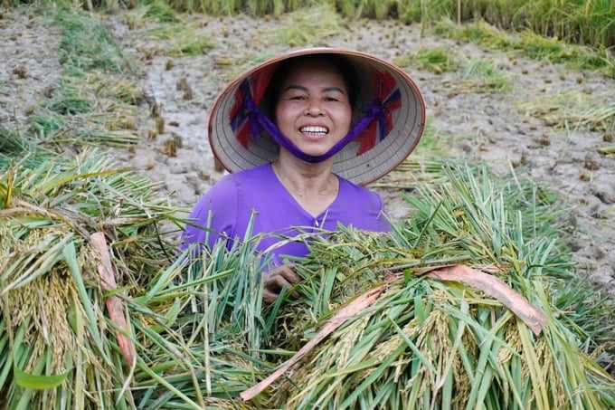 Nụ cười rạng rỡ của nông dân sau khi hoàn thành cuộc thi gặt lúa. Ảnh: Hồng Thắm.