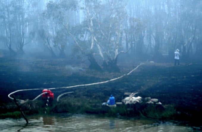 By 5 PM on June 11, the forest fire in zone A1 of Tram Chim National Park has been largely contained. Photo: Le Hoang Vu.