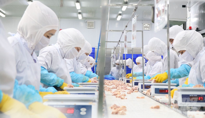 Xuất khẩu thành công sang thị trường Halal được coi như 'một mũi tên trúng nhiều đích', mở ra nhiều cơ hội cho ngành chăn nuôi Việt Nam. Ảnh: Lê Bình.
