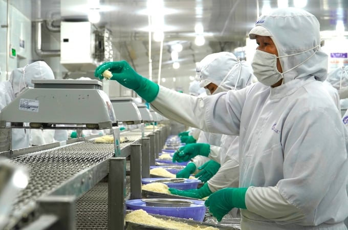 Mặt hàng tôm của Việt Nam đa dạng các sản phẩm chế biến, có thể đáp ứng tốt nhu cầu của người tiêu dùng Trung Quốc. Ảnh: Kim Anh.