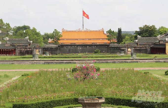 Mái ngói của điện Thái Hòa, phía xa là Phu Vân Lâu với lá cờ đỏ nổi bật. 