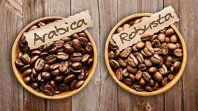 Latest domestic and global coffee prices on 06/11/2024