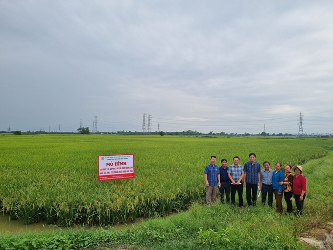 High quality rice from Thanh Oai district. Photo: TL.