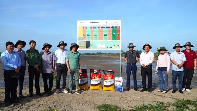 The linkage between four businesses contributes to closing the smart rice growing process, helping farmers reduce production costs, creating quality and safe rice products, and reducing emissions. Photo: Kim Anh.