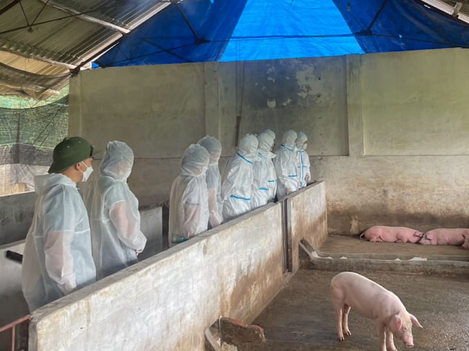 Đoàn công tác Cục Thú y và Sở NN-PTNT tỉnh Bắc Kạn kiểm tra thực tế tình hình phòng, chống dịch dịch tả lợn Châu Phi tại cơ sở chăn nuôi. Ảnh: Ngọc Tú. 